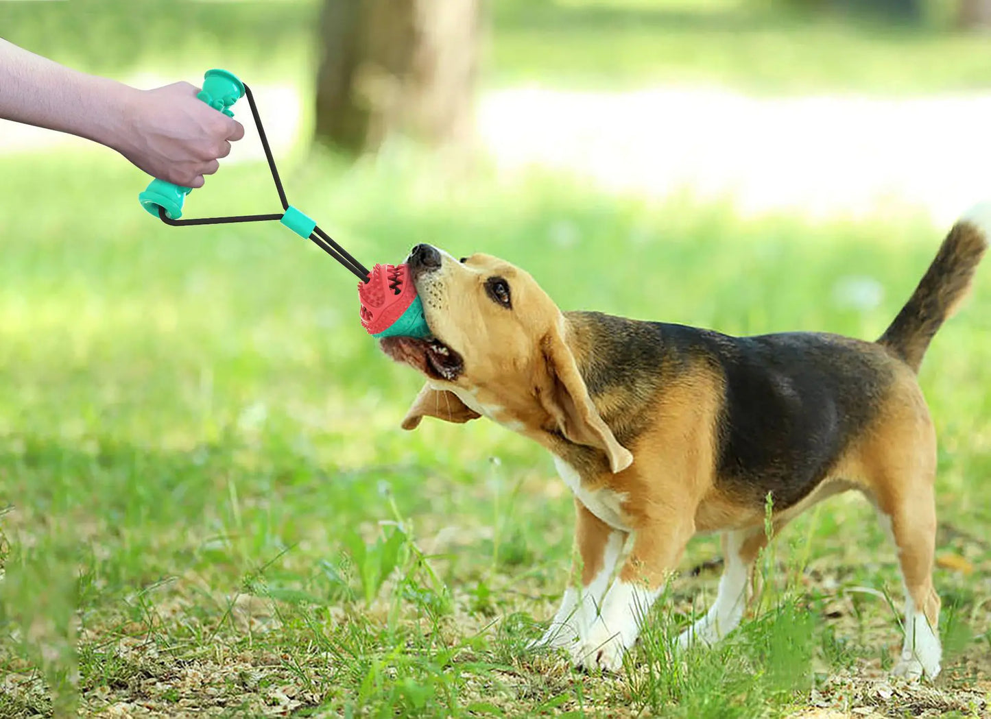 Chew Tug Training Ball for Doys