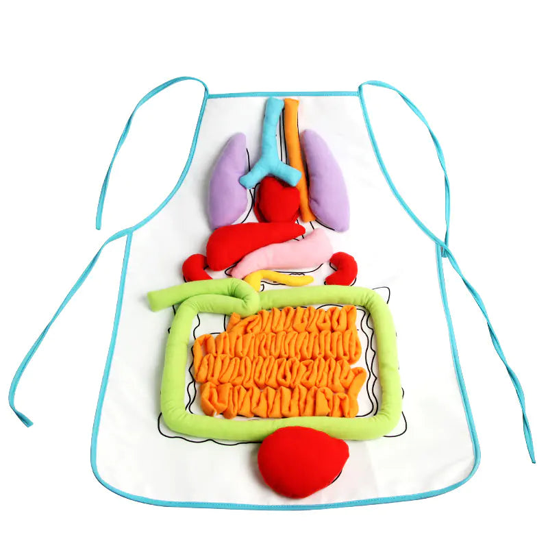 3D Human Organ Apron Toy for Kids Learning Fun