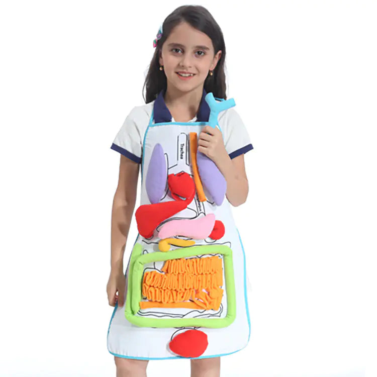 3D Human Organ Apron Toy for Kids Learning Fun