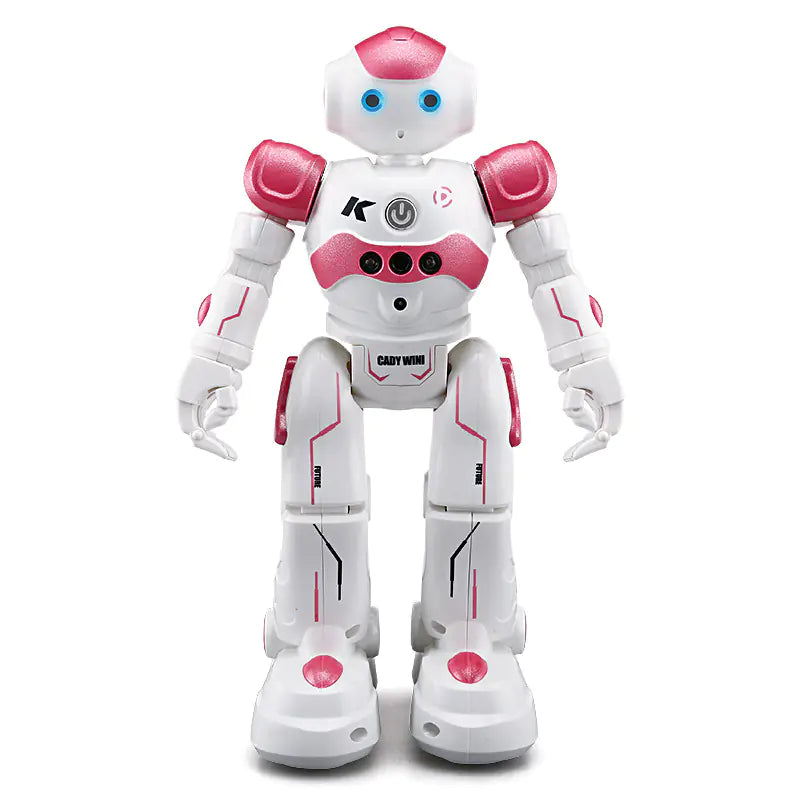 Interactive Smart Robot Toy