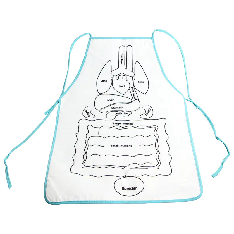 3D Human Organ Apron Toy for Kids Learning Fun