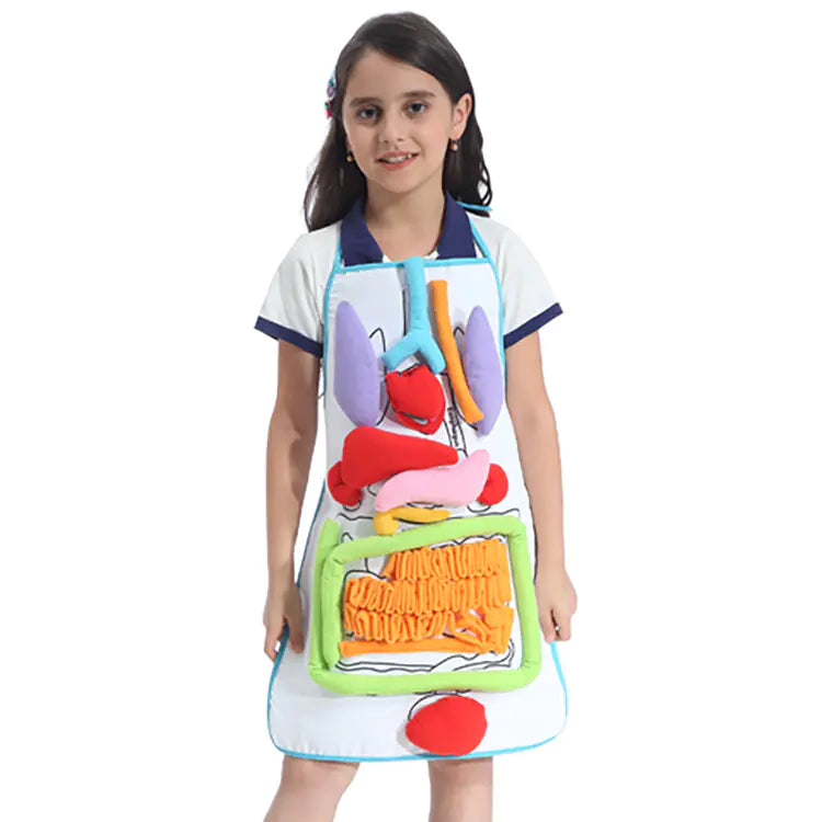 3D Human Organ Apron Toy for Kids Learning Fun