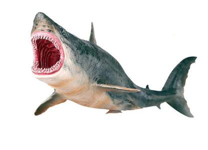 Lifelike Shark Model Toy for Children