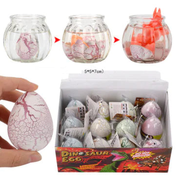 Dino Hatch Water Eggs for Kids