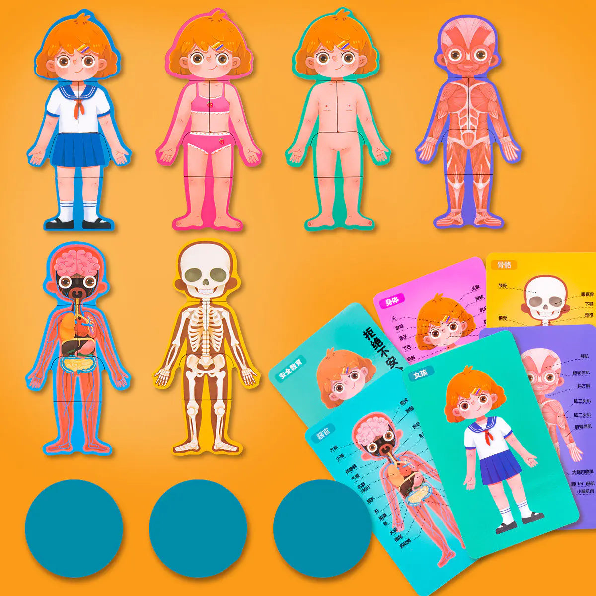 Kids' Human Body Puzzle Set – Fun Learning Anatomy Toy