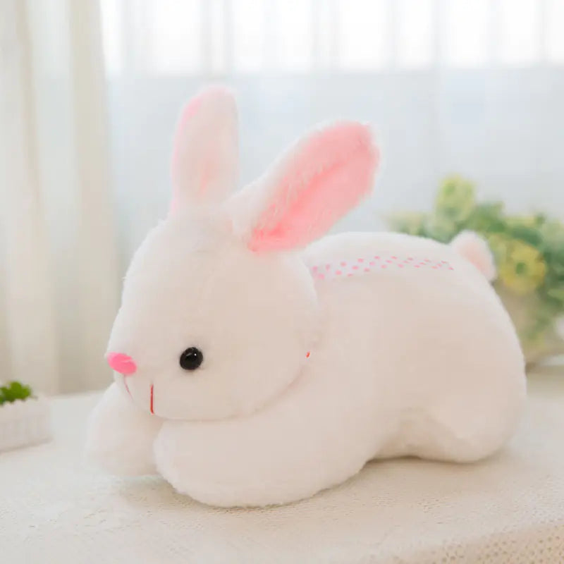 Cuddly Bunny Plush Toy