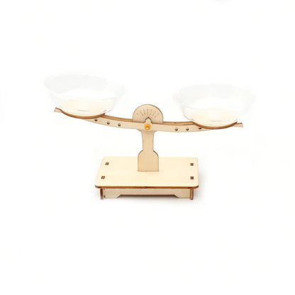 Build & Learn Balance Lever Kit