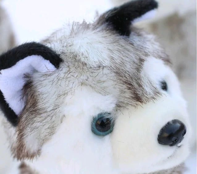 Snuggly Husky Plush Pal - Kids’ Playtime Companion