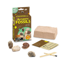 Kids' Pyrite Archaeology Dig Kit