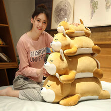 Cuddly Husky Pillow Plush for All Ages