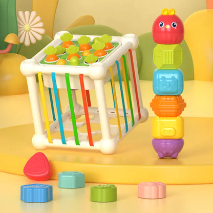 Baby Activity Cube Toy – Shape Sorter & Carrot Pull Game