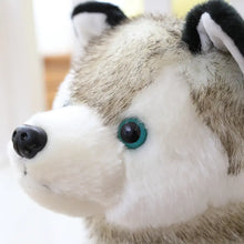 Snuggly Husky Plush Pal - Kids’ Playtime Companion