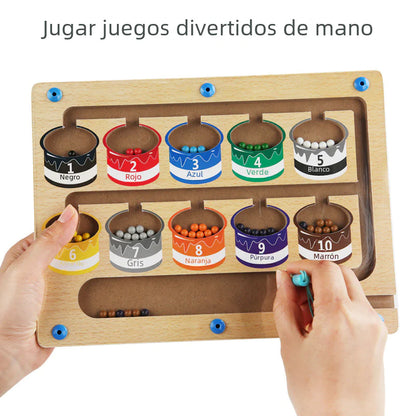 Magnetic Color Sorting Board – Montessori Learning Toy