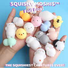 Kawaii Animal Squishy Toys – Stress Relief Fun