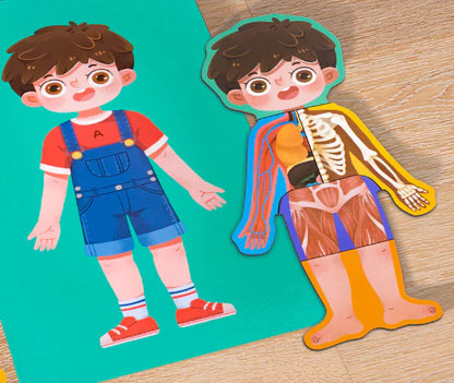 Kids' Human Body Puzzle Set – Fun Learning Anatomy Toy