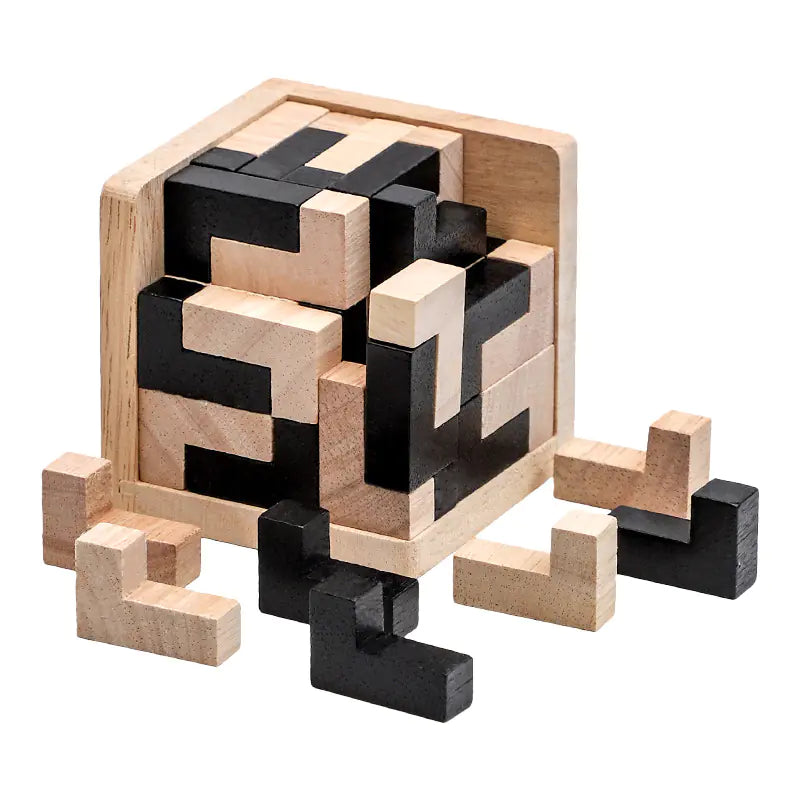 Kids 3D Brain Building Blocks