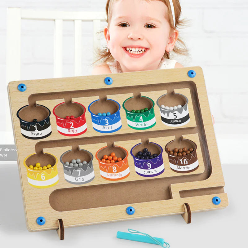 Magnetic Color Sorting Board – Montessori Learning Toy