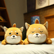 Cuddly Husky Pillow Plush for All Ages